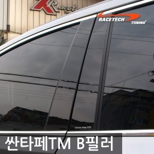 레이스텍 싼타페TM B필러 미러플레이트(8P)