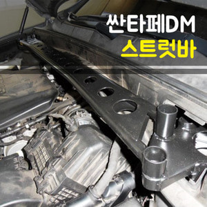 룩손 싼타페DM / 더프라임 스트럿바