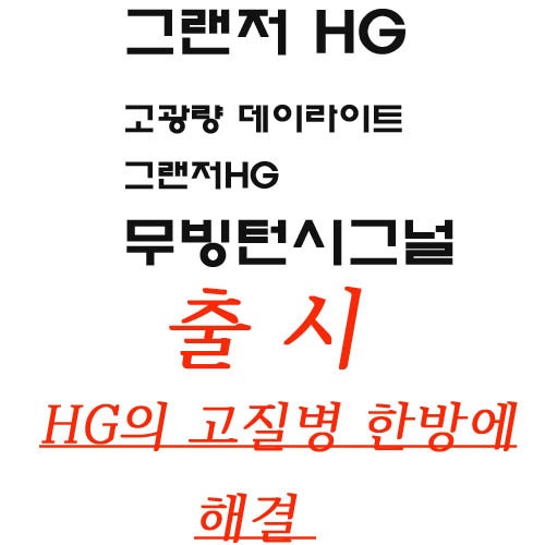 엑스룩 그랜저HG 아이라인 무빙턴시그널,고광량데이라이트