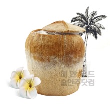 마하 코코넛 아이스 170ml