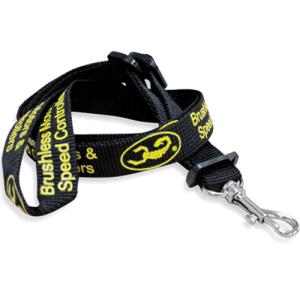 [S_lan] Scorpion Lanyard