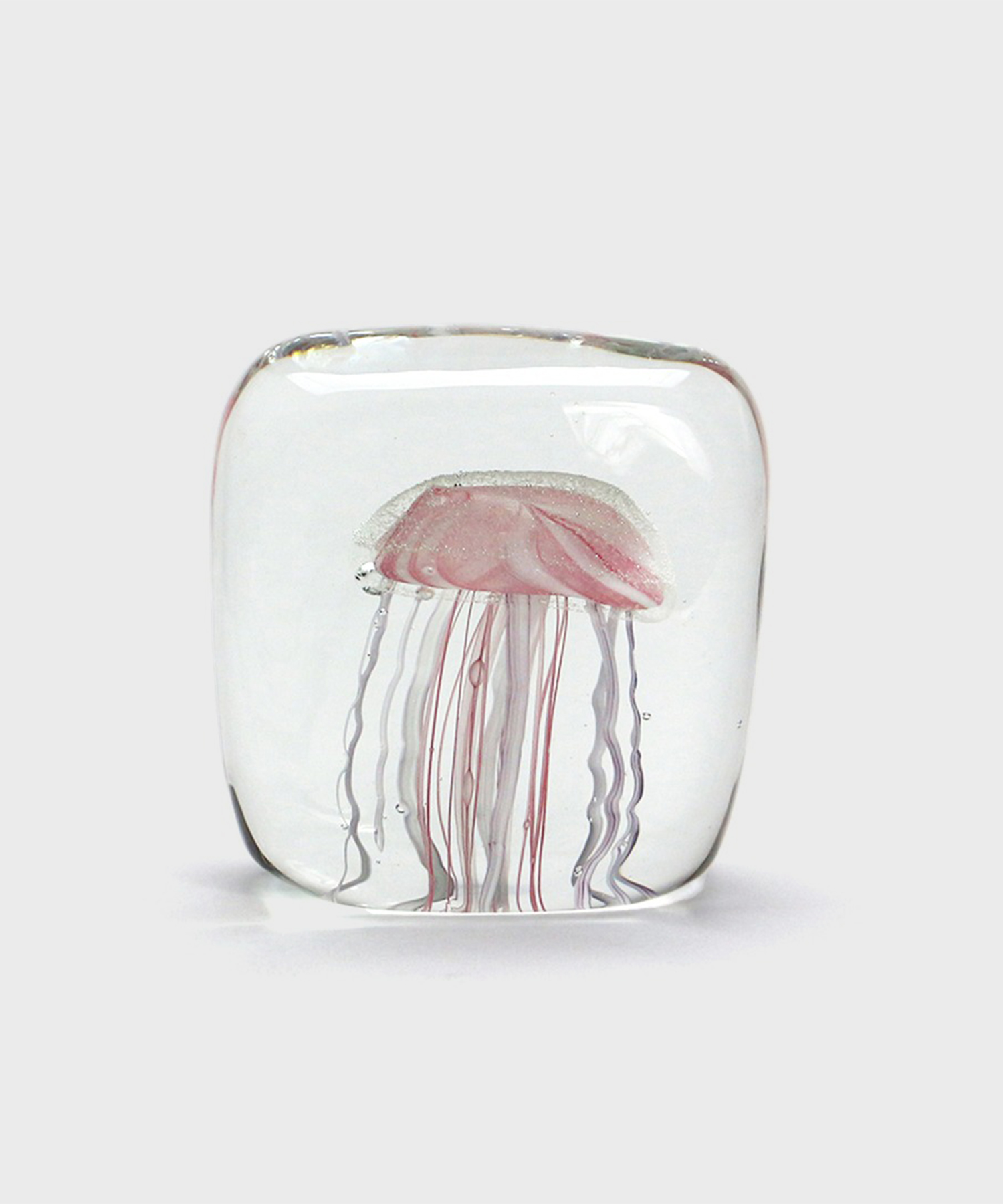 Jellyfish Twisted Leg (Square / Pink)