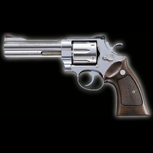 S&amp;W M629 4in SV X Cartridge Model