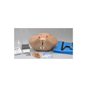 양성 도관삽입 &amp; 장루간호 모형 Male &amp; Female Catheterization &amp; Ostomy Care Simulator W45068 [1005806]