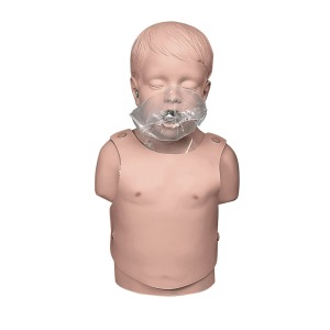 5세 아동 CPR 상반신 마네킨 Child CPR Torso, 5-year old W44592 [1005752]