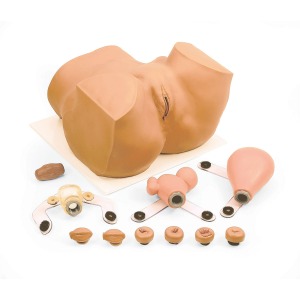 부인과질환 트레이너 (자궁경부암) EVA Gynecological Training Manikin W44535 [1005723]