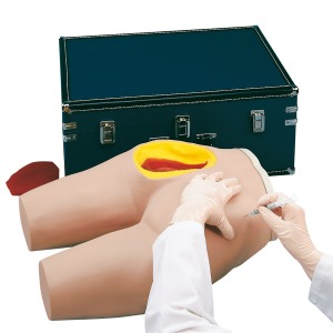 근육주사 실습 시뮬레이터 I.M. Injection Simulator W44004 [1005586]