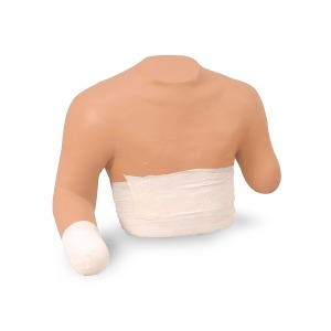 상반신 붕대 처치 시뮬레이터 Upper Stump Bandaging Simulator W44226 [1005680]