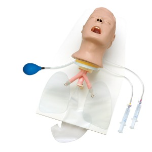 고급형 기도 트레이너 Larry(헤드, 스탠드) Advanced Airway Larry Trainer Head,Stand W44739 [1019249 ]