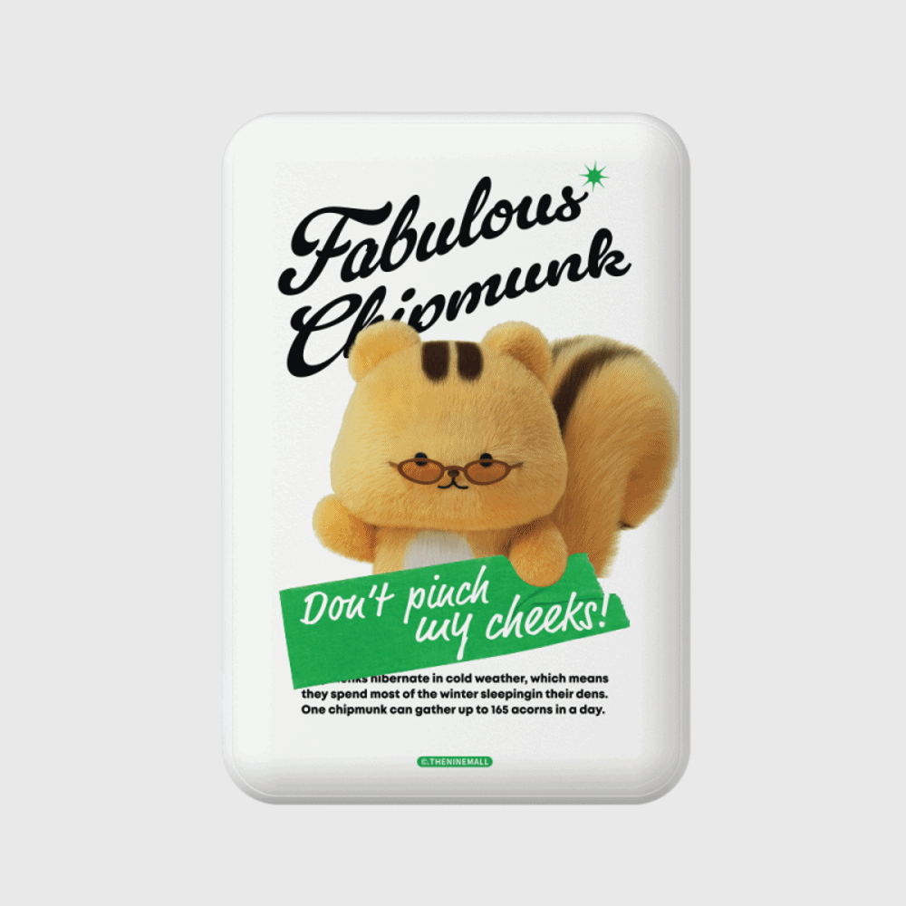 fabulous chipmunk [맥세이프 보조배터리]