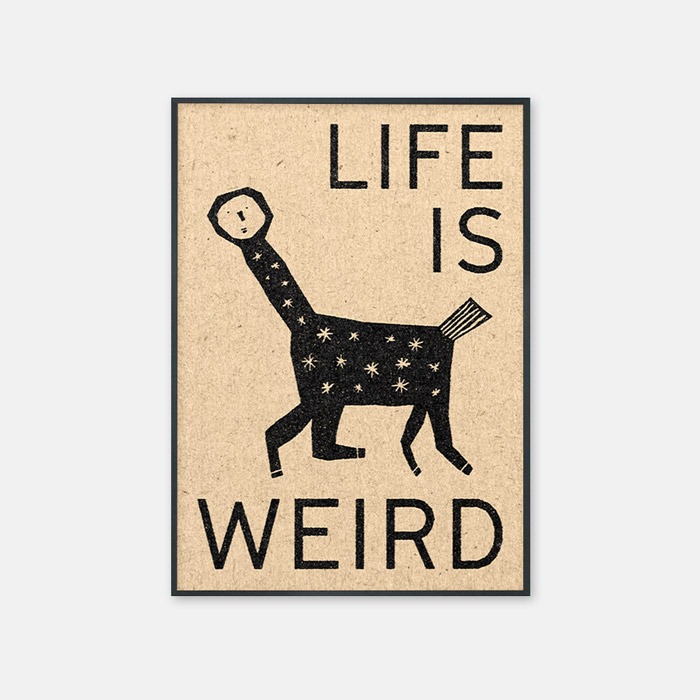 뚜누 데이비드 슈미트 작가 Life is Weird 포스터