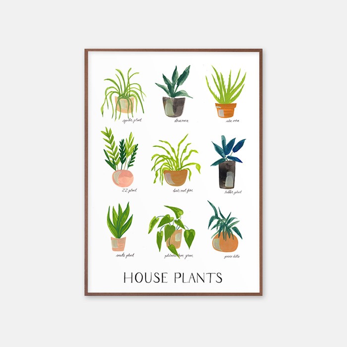 뚜누 로라 페이지 작가 House Plants 포스터