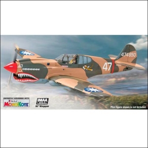 Giant Scale P-40 Warhawk ARF