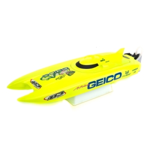 Miss Geico 17-inch RTR Brushed Catamaran Boat 조종기 포함