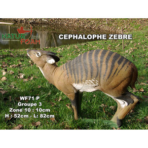 NATUR FOAM 3D TARGET CEPHALOPHUS ZEBRAA-FAC archery