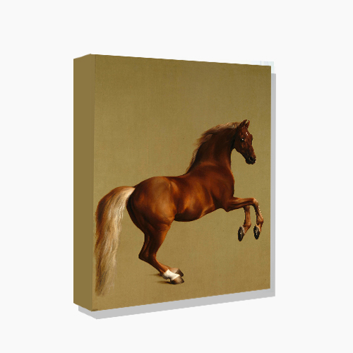 George Stubbs, 조지 스터브스 (휘슬재킷)