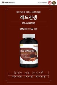 붉은 빛으로 채우는 하루의 활격 로얄캐네디언 홍삼 캡슐 600mg 60캡슐