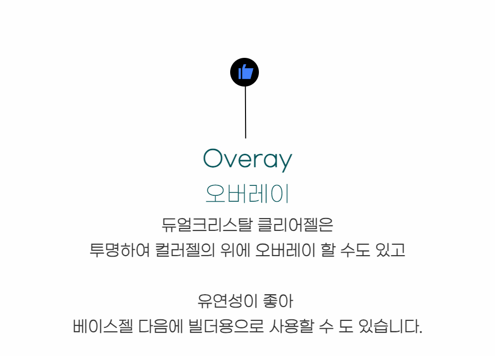 화장품 -S28L2