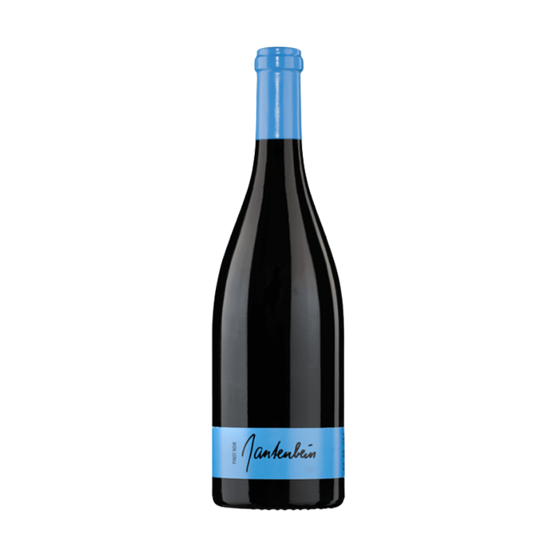 Weingut Daniel &amp; Marta Gantenbein Pinot Noir 2019