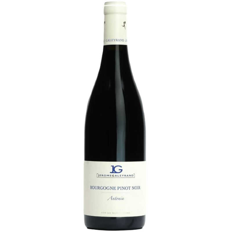 Jerome Galeyrand Bourgogne Pinot Noir Cuvee Antonin 2022