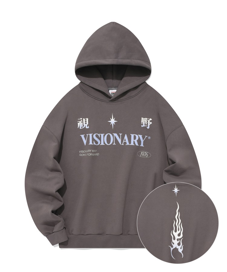 VSW Flame Team Hoodie Ash Gray