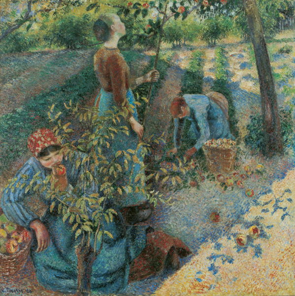 Camille Pissarro - Apple Picking