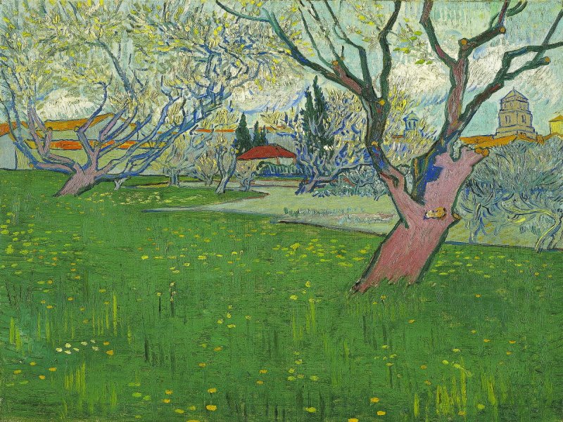 Vincent Van Gogh - Bloeiende boomgaarden, gezicht op Arles