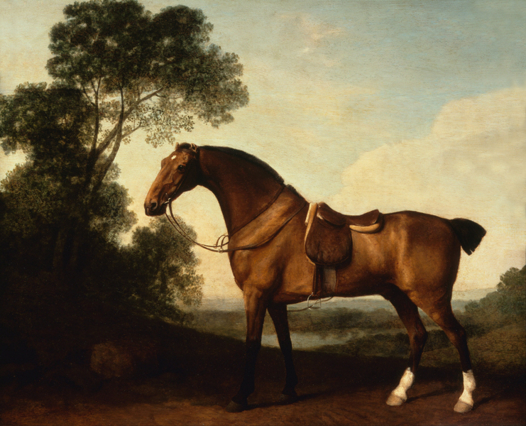 George Stubbs - A Saddled Bay Hunter