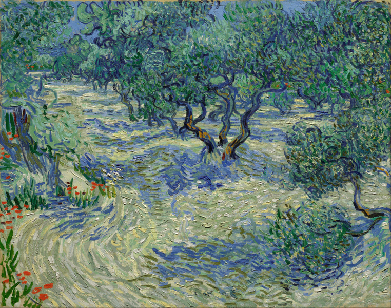 Vincent van Gogh - Olive Orchard