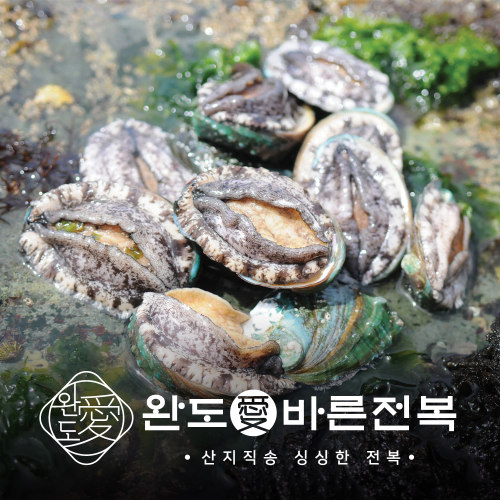 완도청정마켓[바른전복] vvip 활전복 6-7미 1kg 손질솔증정[바른전복] vvip 활전복 6-7미 1kg 손질솔증정건강의섬완도기본트렌드