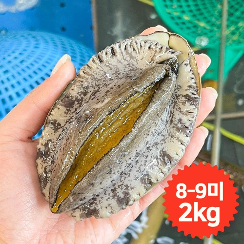 완도청정마켓[청산바다] 특대복 8-9미 2kg 활전복 (약 16~18마리)[청산바다] 특대복 8-9미 2kg 활전복 (약 16~18마리)(주)청산바다기본트렌드