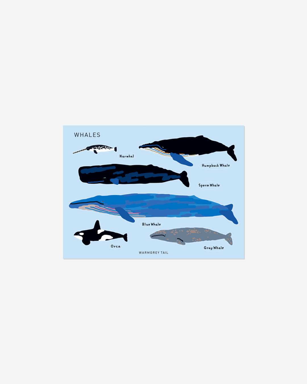 WHALES STICKER