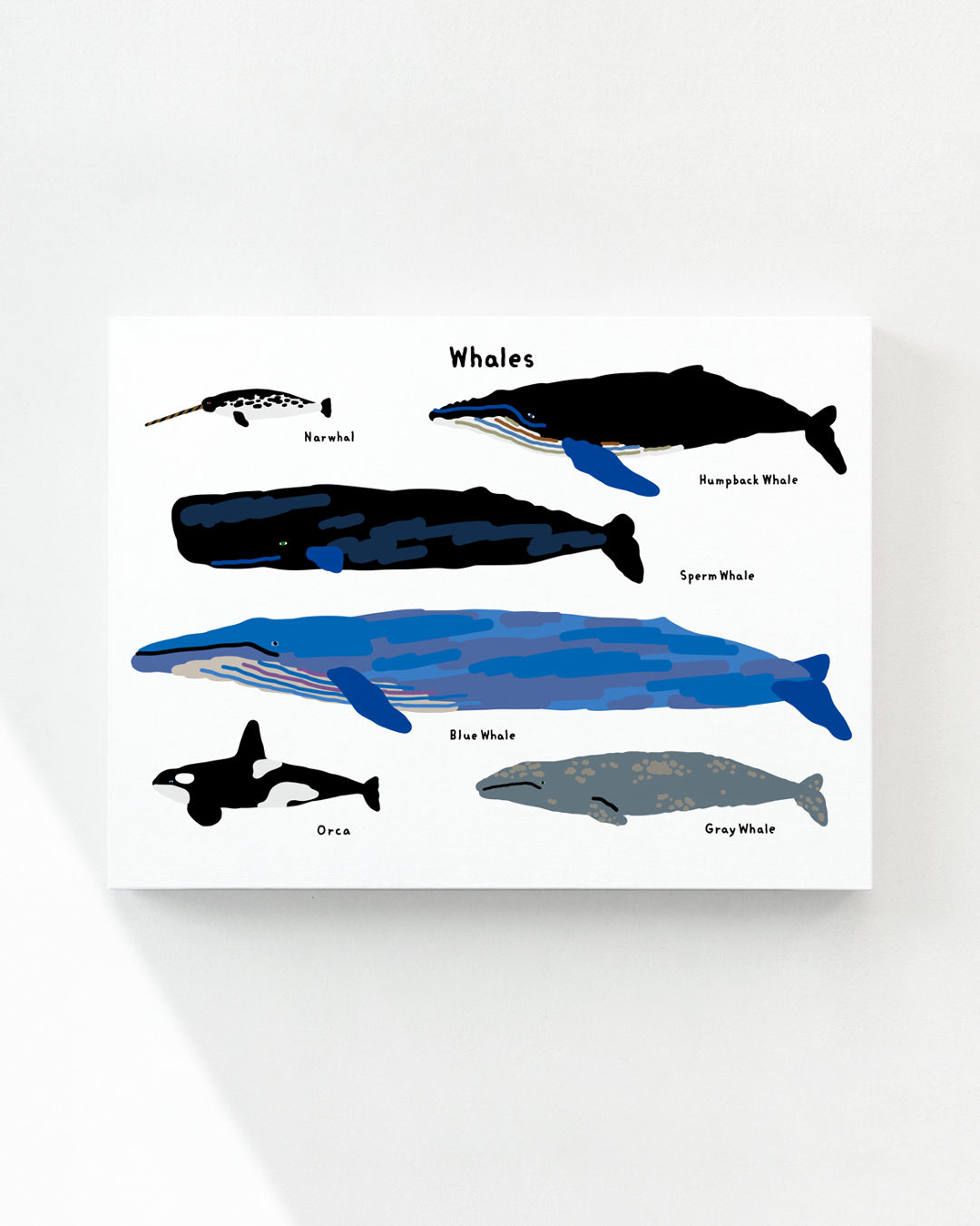 WHALES CANVAS