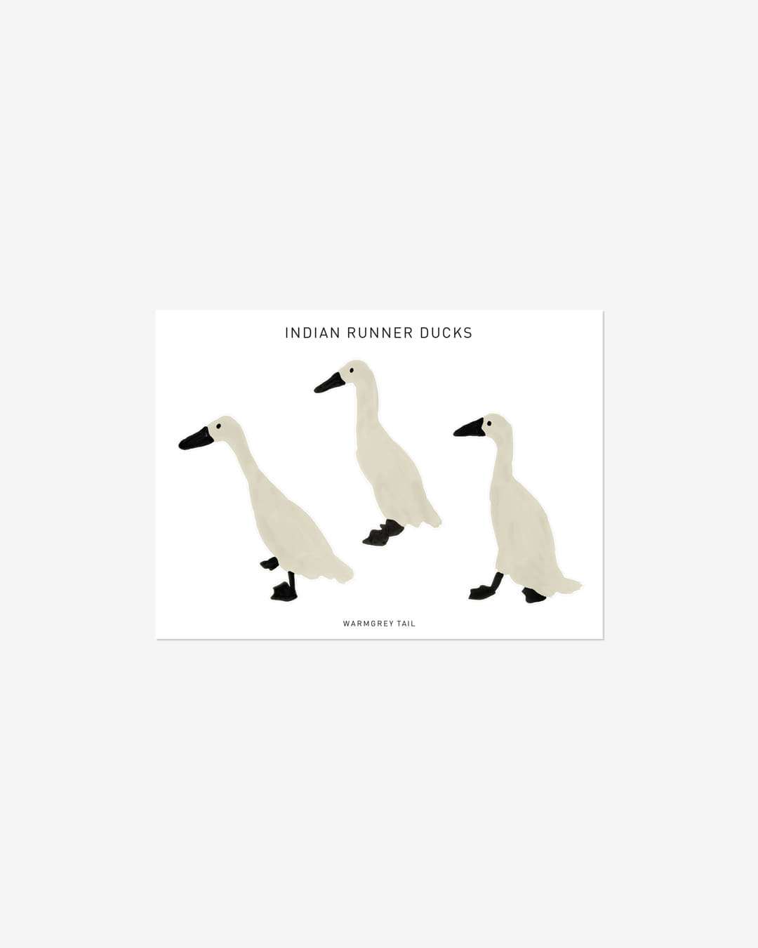 INDIAN RUNNER DUCKS STICKER