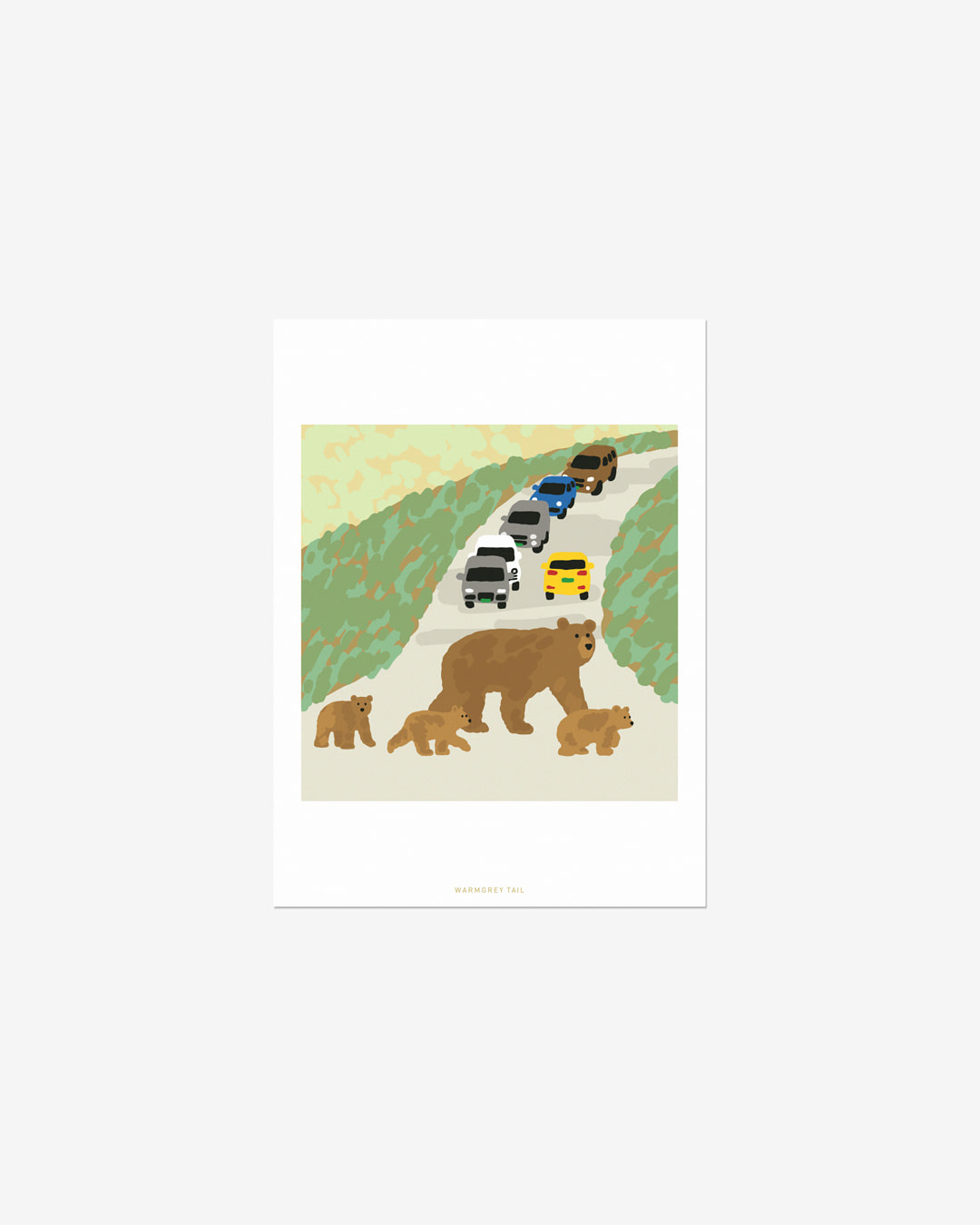 BEAR FAMILY POSTCARD