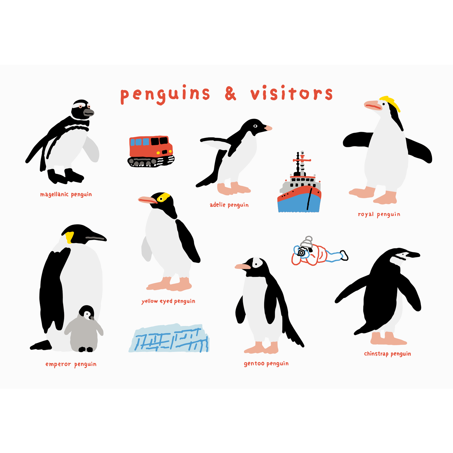 2022Penguins &amp; visitors