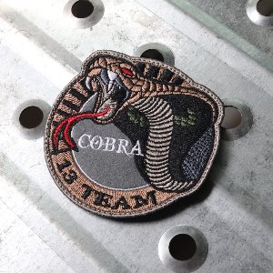 COBRA 13 TEAM