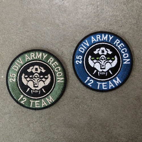 25 DIV ARMY RECON _ 12 TEAM