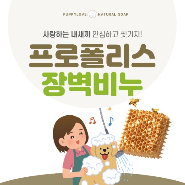 강아지 천연비누 프로폴리스 마누카 장벽비누 탈모 산책 발닦기