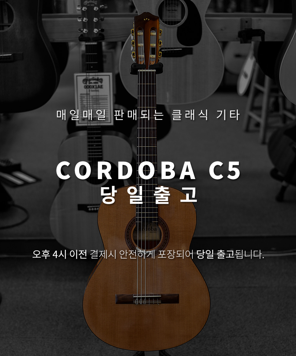 c5당일배송