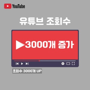 유튜브 조회수