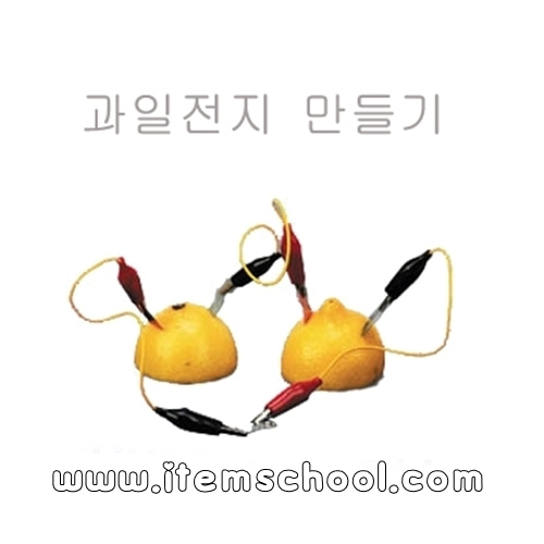 과일전지 단체용 10인 1세트