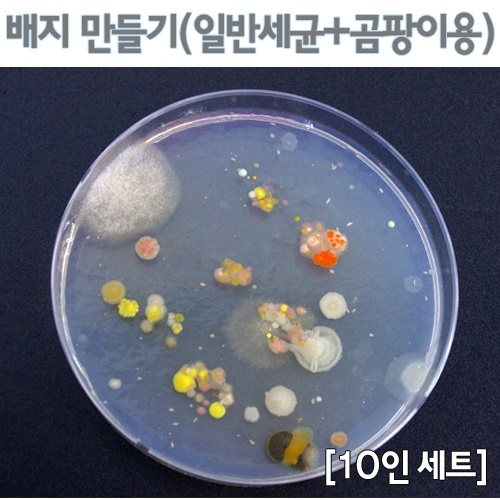 배지만들기2(일반세균+곰팡이)10인