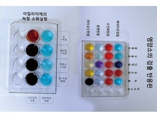 영양소검출반응실험키트+침(아밀라아제)의소화