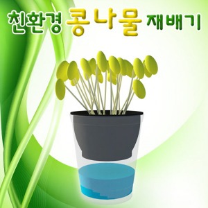 콩나물기르기 (친환경 콩나물 재배기)