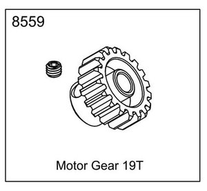 EX-07 MOTOR GEAR 19T #8559 1/8 사용가능