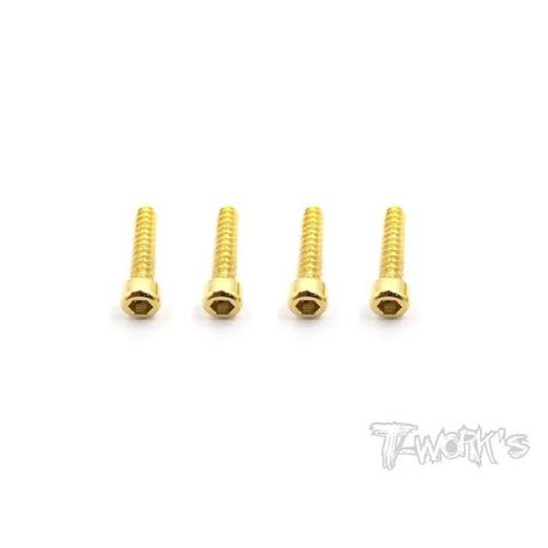 TWORKS Futaba 4PV: Steel Gilded Remote Control Screw TA-109