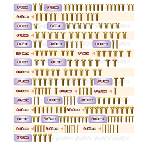 GSS-N1 Gold Plated Steel Screw Set 191pcs. ( For Agama N1 )